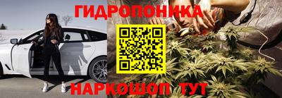 шишки Канаш